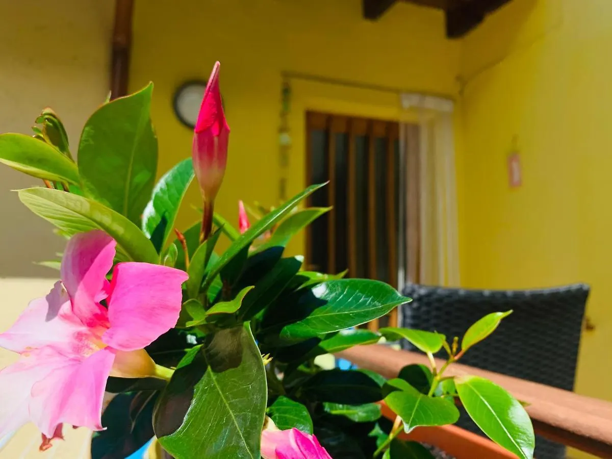 Casa Al Capitello Apartment Malcesine Italy